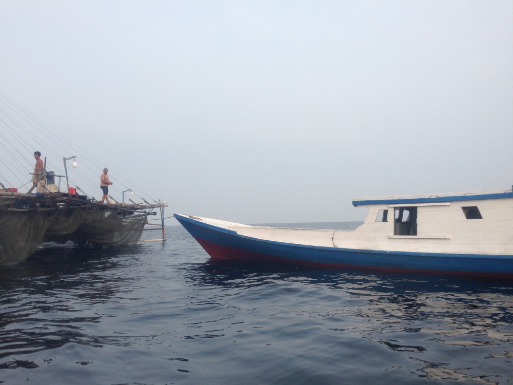 Sampe ke kapal penangkapan ikan para nelayan.. tempat hiu totol muncul