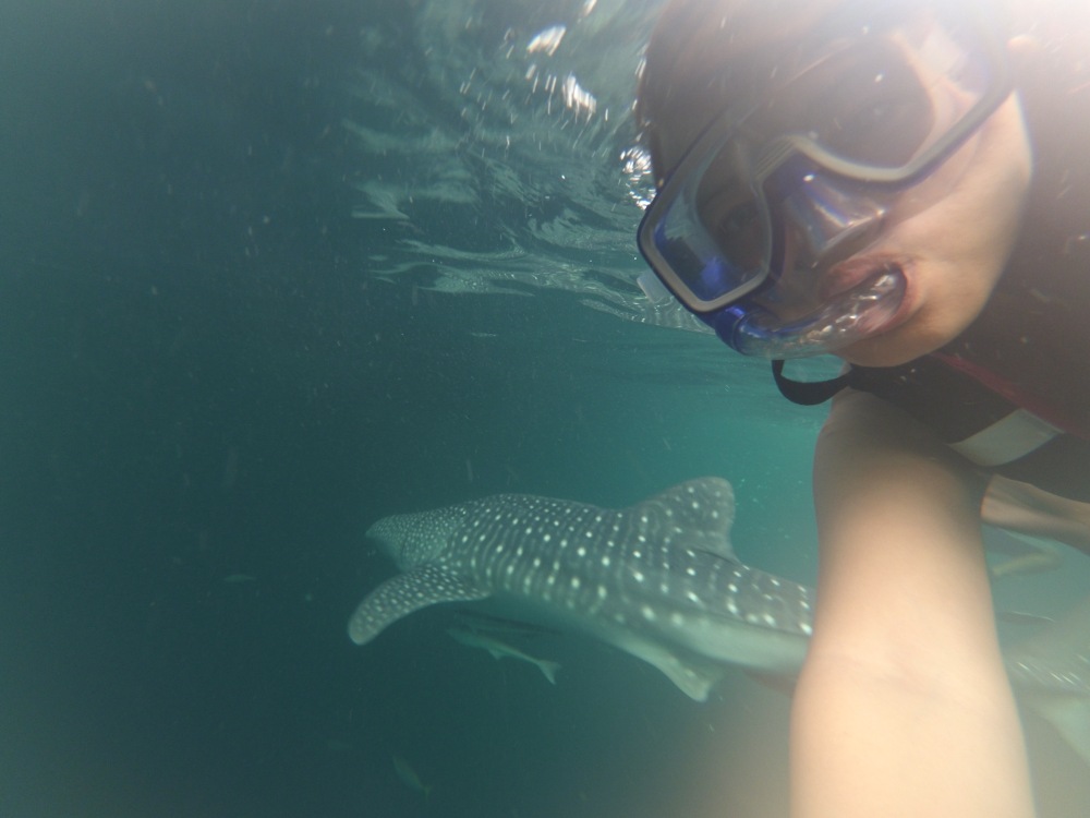 Selfie with the whale shark's back... <3