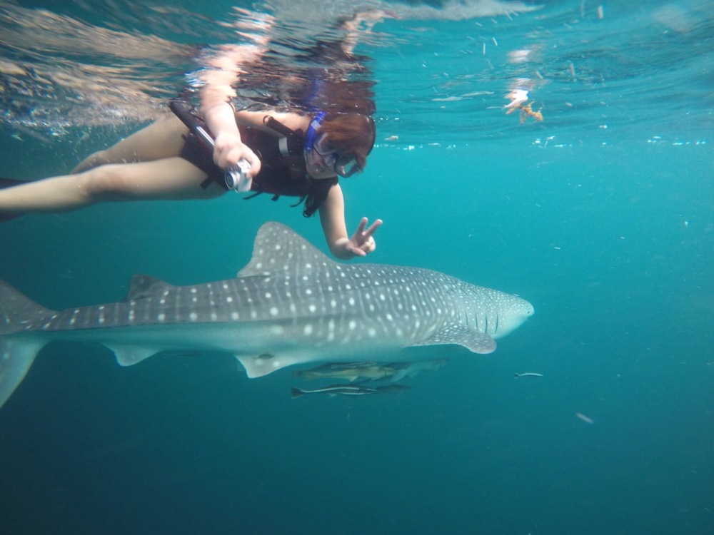 Finally... one on one with the shark.. <3